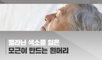 교육과정사진