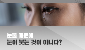 교육과정사진
