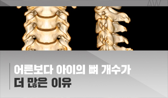 교육과정사진