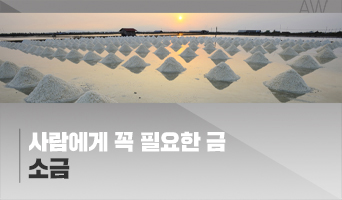 교육과정사진