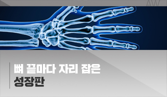 교육과정사진