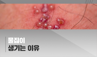 교육과정사진