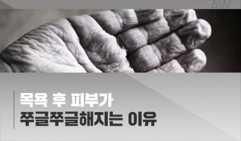 교육과정사진