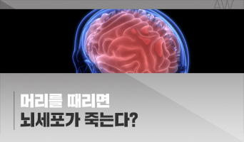 교육과정사진