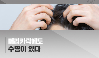 교육과정사진