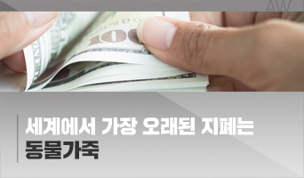 교육과정사진