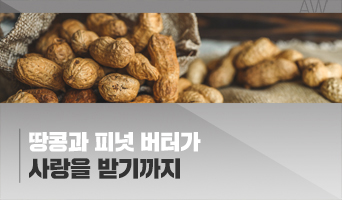 교육과정사진