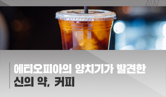 교육과정사진