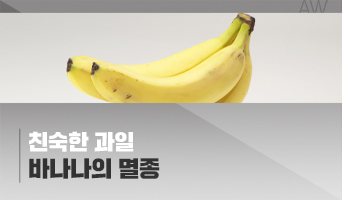 교육과정사진