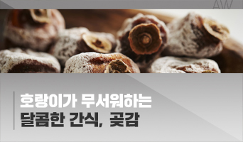 교육과정사진