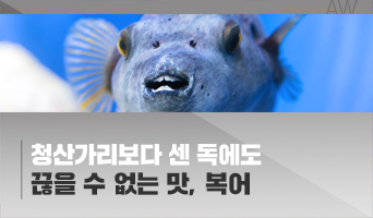 교육과정사진