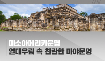 교육과정사진