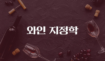 교육과정사진