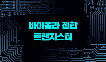 교육과정사진