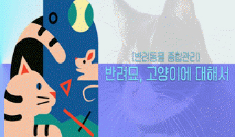 교육과정사진
