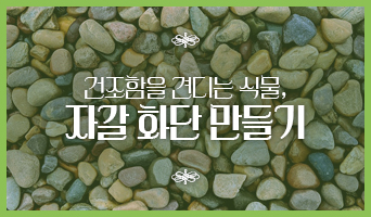 교육과정사진