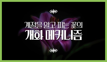 교육과정사진