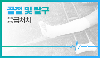 교육과정사진