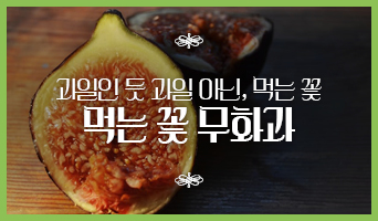 교육과정사진