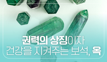 교육과정사진