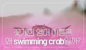 교육과정사진