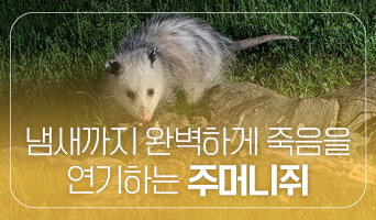 교육과정사진
