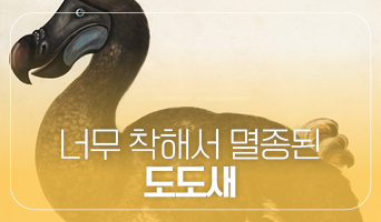 교육과정사진