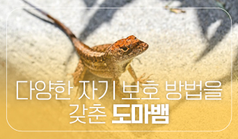 교육과정사진