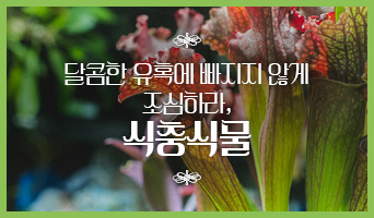 교육과정사진