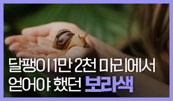 교육과정사진