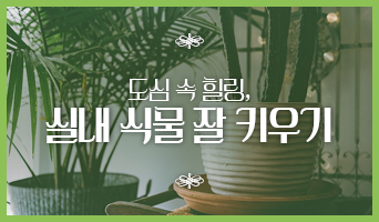 교육과정사진