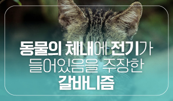 교육과정사진