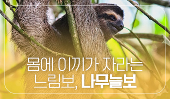 교육과정사진
