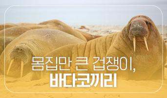 교육과정사진