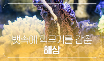 교육과정사진