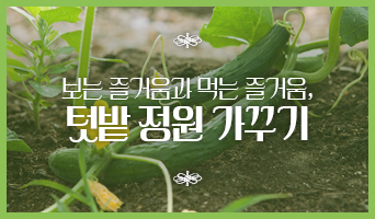 교육과정사진