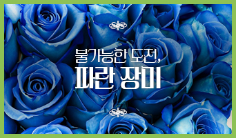 교육과정사진