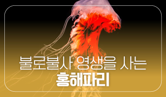 교육과정사진