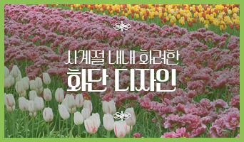교육과정사진