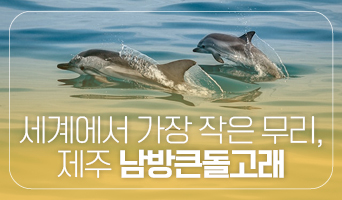 교육과정사진