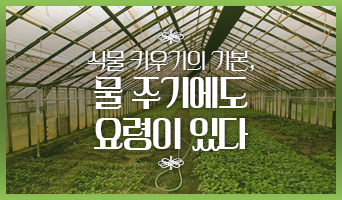 교육과정사진