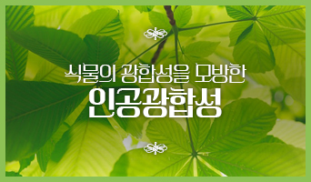 교육과정사진