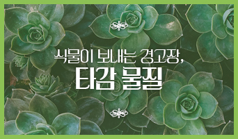 교육과정사진