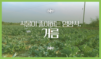 교육과정사진