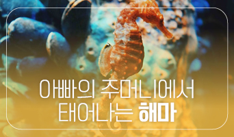 교육과정사진