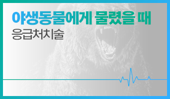 교육과정사진
