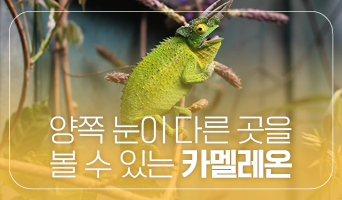 교육과정사진