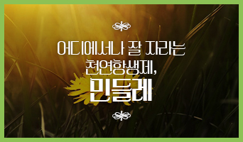 교육과정사진