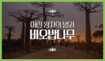 교육과정사진