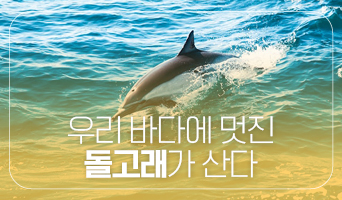 교육과정사진